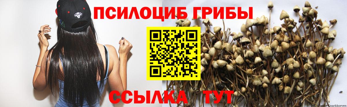 Сосновый Бор  Галлюциногенные грибы Cubensis  где купить наркоту  Вход с VPN 